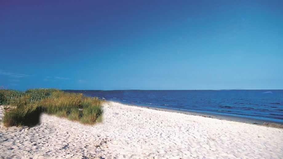 Witte Huus 75M_ Und 51M_ Ferienwoh Apartman Hooksiel Kültér fotó